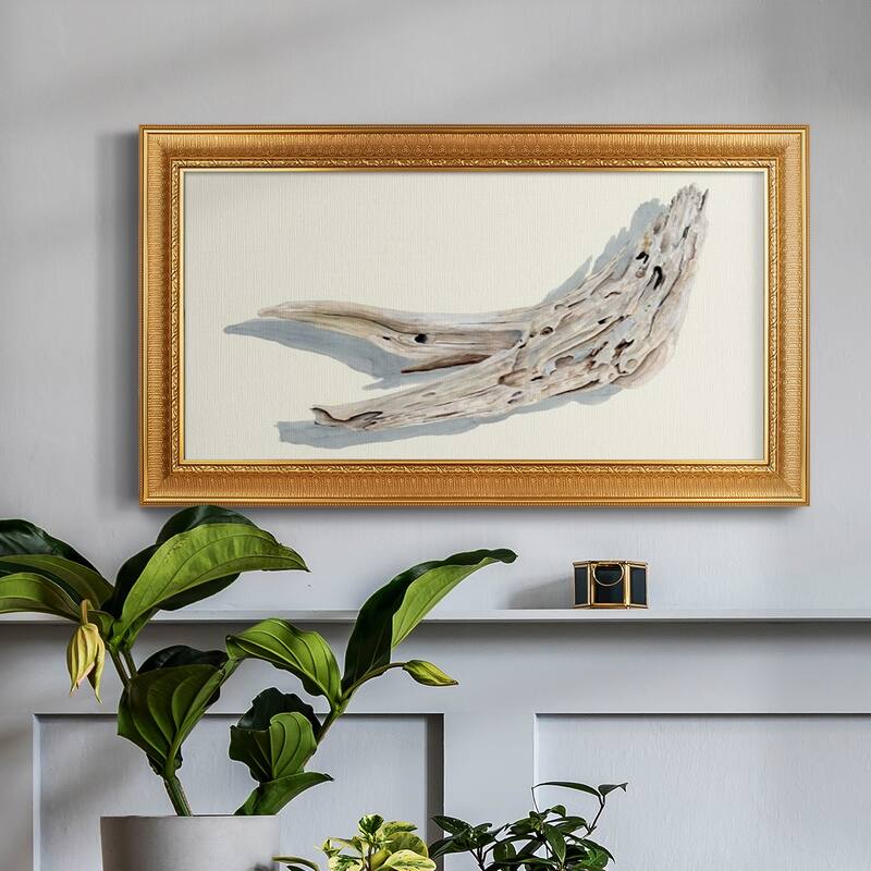 Driftwood Study III Premium Framed Canvas- Ready to Hang