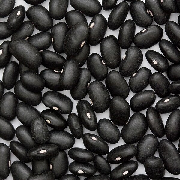 Bulk Peas and Beans Organic Black Beans Black Turtle - 5 Lb.