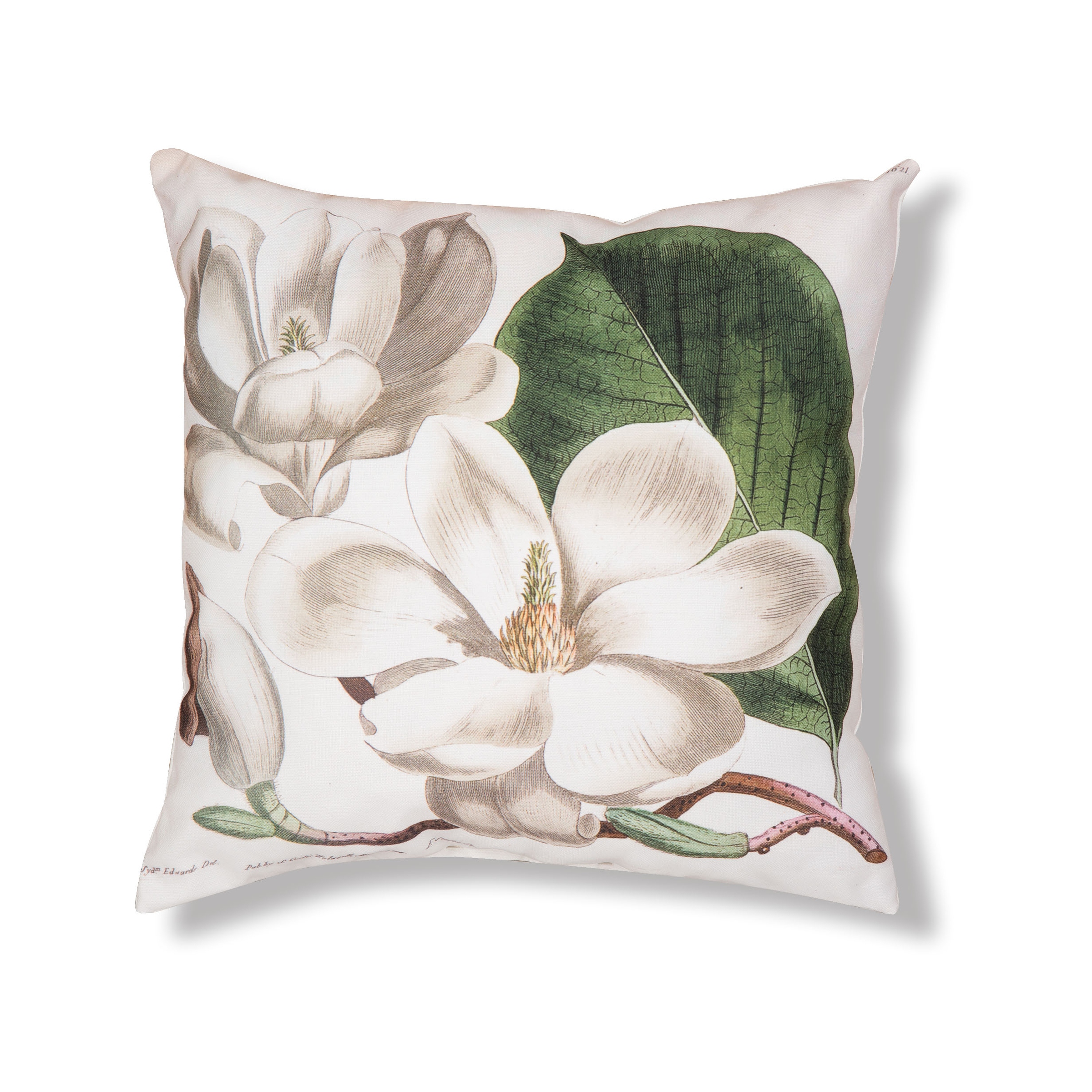 Bed bath and beyond magnolia home pillows top