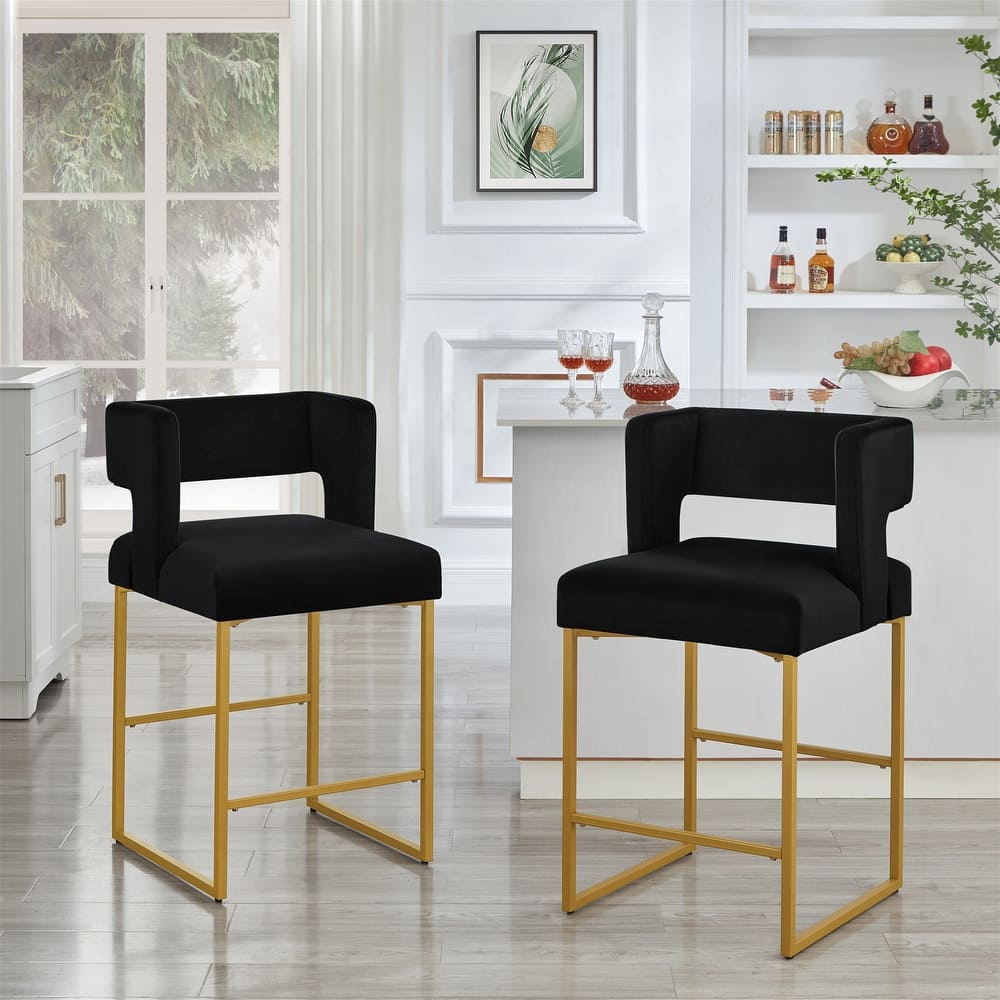 Modern Fashion Counter Height Bar Stools Set of 2
