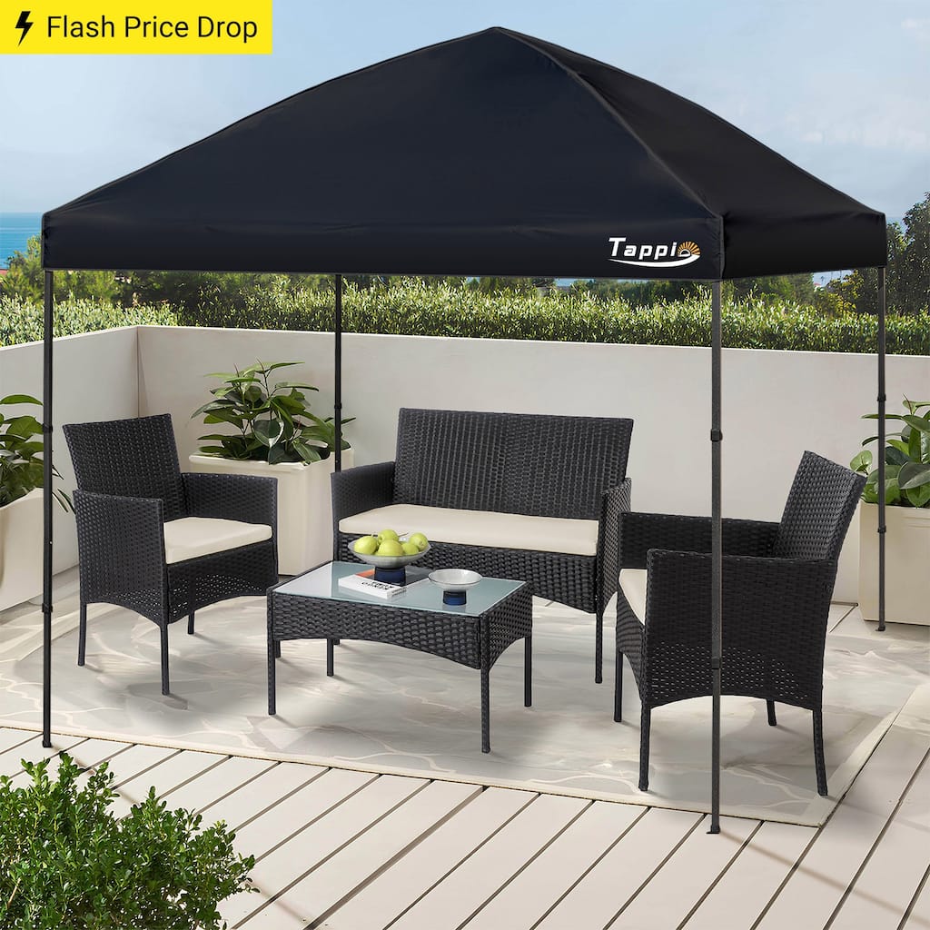 10' x 10' Pop Up Canopy Tent,Outdoor Canopy Tent for Event, Parties, Camping Portable Easy with Carry Bags