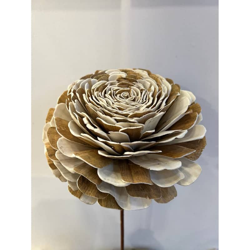 Handmade Shola Mix Beli Flower Natural Stem H 39.4" - NATURAL
