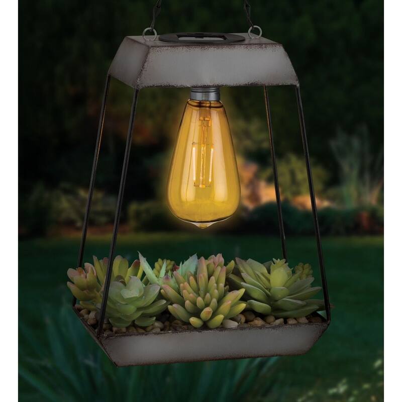 Edison Succulent Solar Lantern - Pyramid