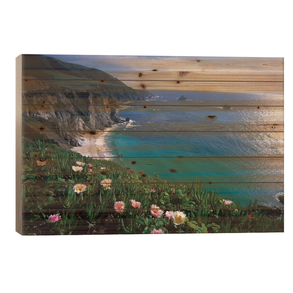 Ice Plant, Big Sur Coast Near Bixby Creek, California Print On Wood by Tim Fitzharris - Multi-Color