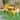 Sunny Retreat- Yellow Cast Aluminium Bistro Set