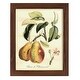 preview thumbnail 105 of 138, Printed Tuscan Fruits IV -Framed Print w/glass-Cherry Red 9x11 - Maple