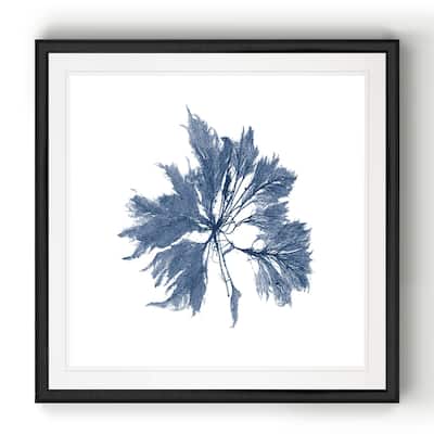 Navy Seaweed I -Black Framed Print
