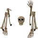 preview thumbnail 1 of 1, Haunted Hill Farm 2.8-ft. Ground-Breaking Skeleton, Indoor/Outdoor Halloween Decoration