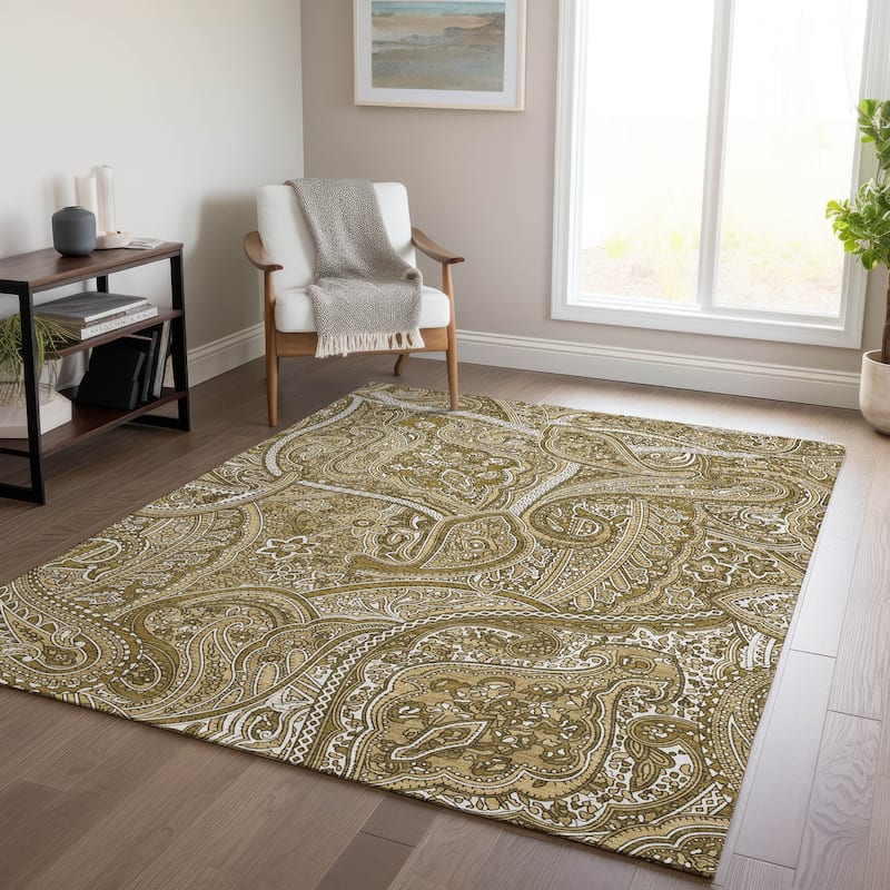 Machine Washable Indoor/ Outdoor Chantille Traditional Paisley Rug - Brown - 3' x 5'