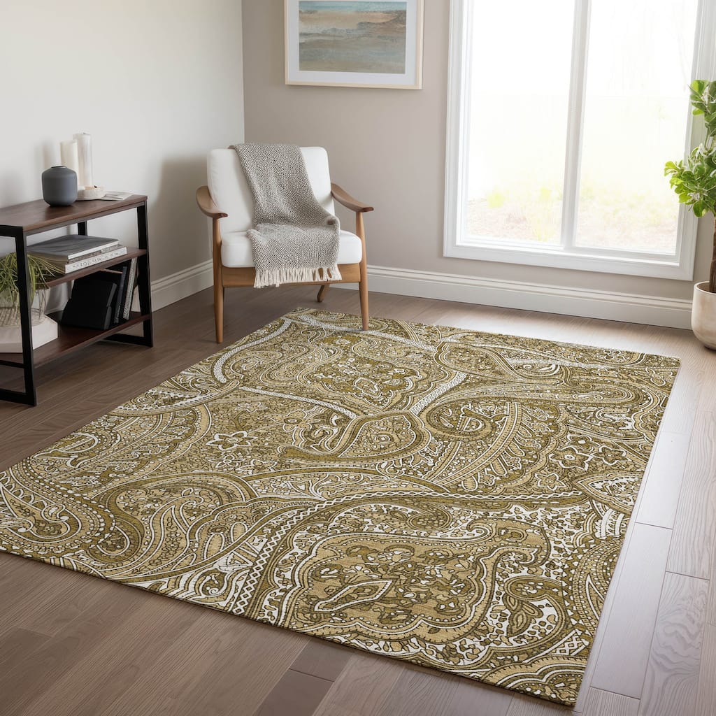 Machine Washable Indoor/ Outdoor Chantille Traditional Paisley Rug