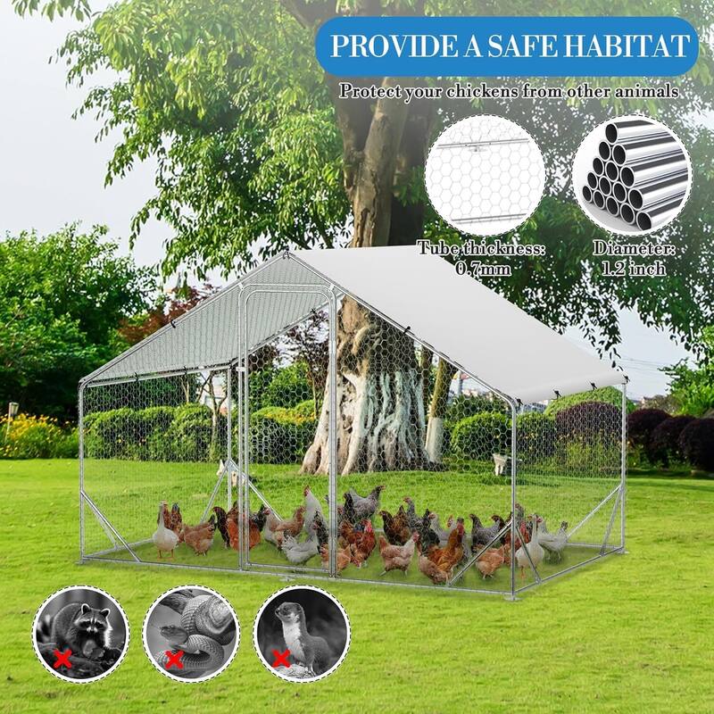 Large Metal Chicken Coop, Walk-in Poultry Hen House, for Chickens, Ducks