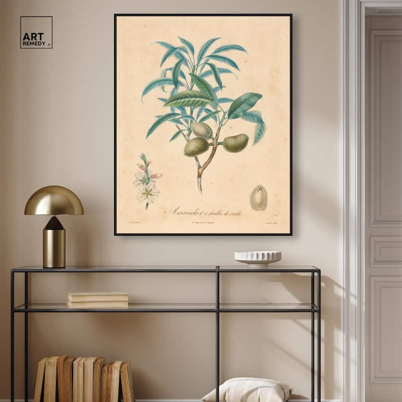 Almond of Georgia II Canvas by Art Remedy
