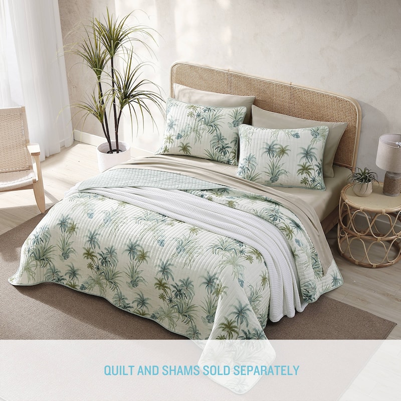 Tommy Bahama Serenity Palms Aqua Cotton Reversible Quilt Collection