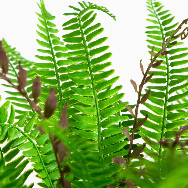 23-in UV Resistant Artificial Boston Fern Plant (Indoor/Outdoor) - Green