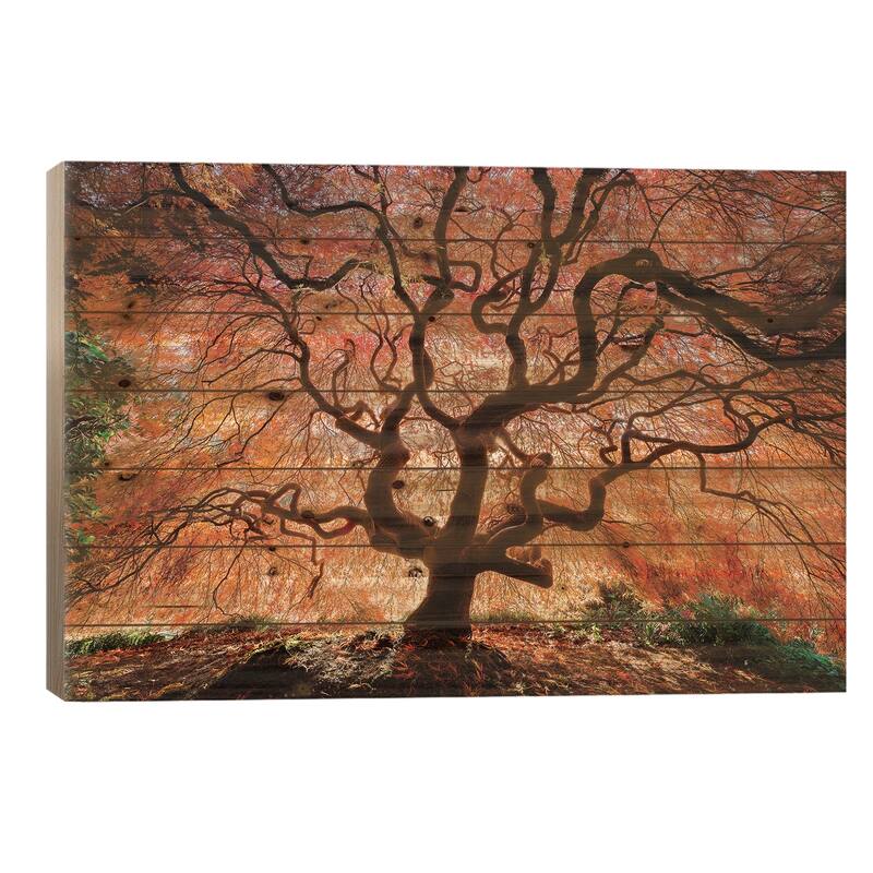Tentacles And Sun, Seattle, Washington III Print On Wood by Jim Nilsen - Multi-Color - 26x40x1.5