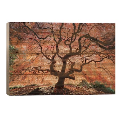 Tentacles And Sun, Seattle, Washington III Print On Wood by Jim Nilsen - Multi-Color