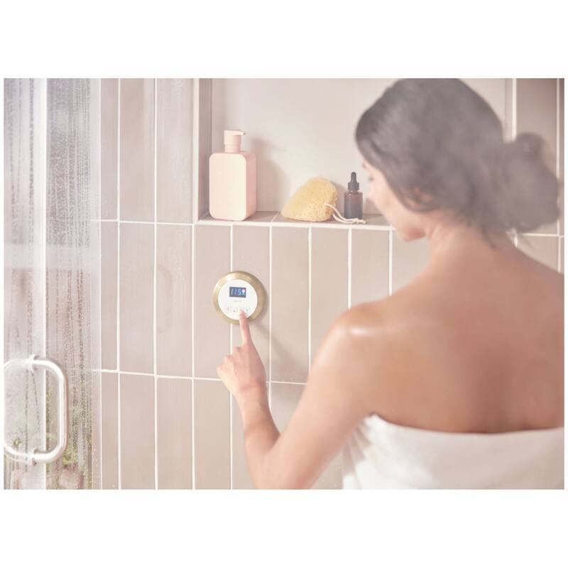 Delta 5CN-220R SteamScape Round Auxiliary Exterior Steam Shower