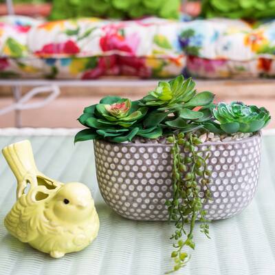 Succulent Mix in Cement 9" W OVAL TEXTURE PATTERN - ONE-SIZE