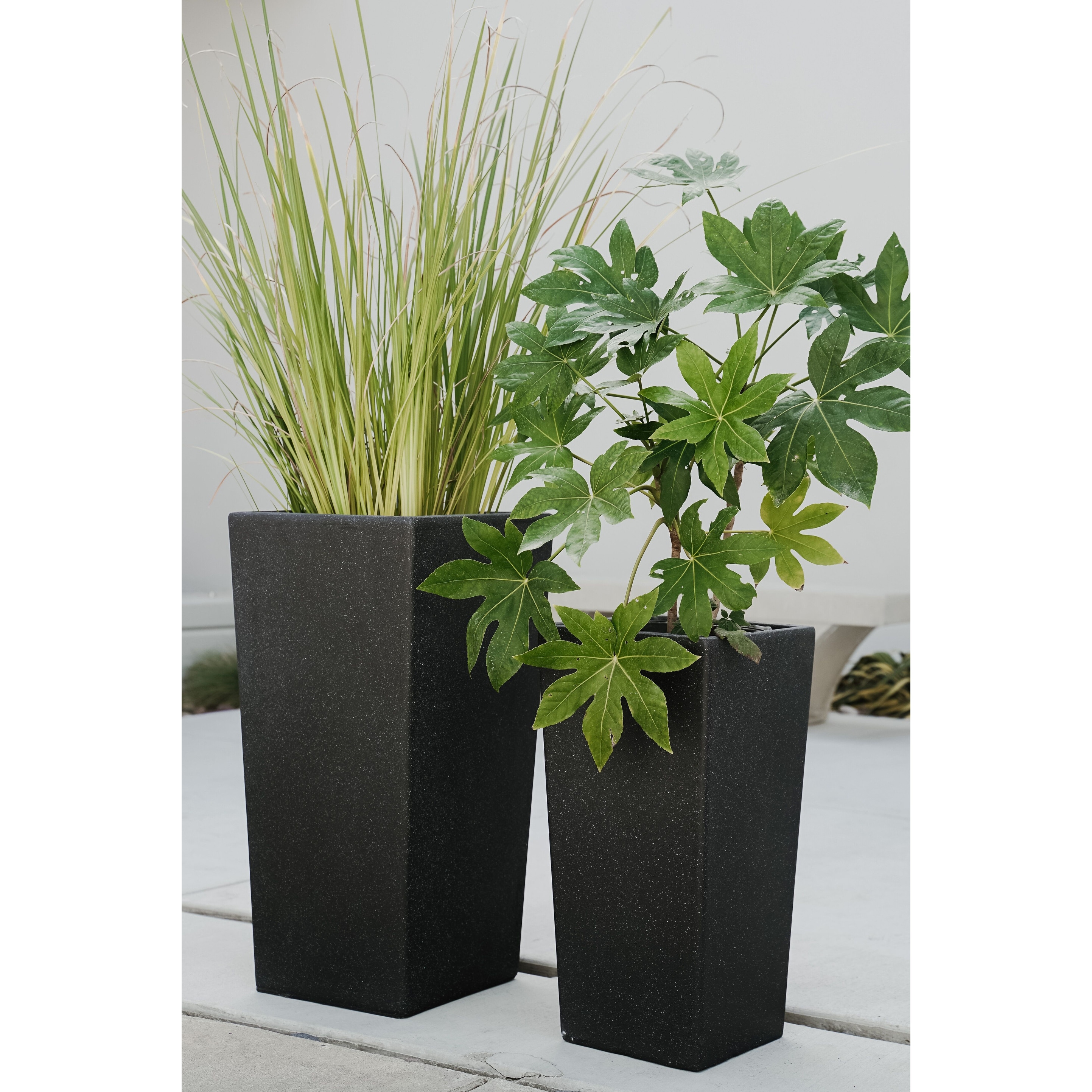 フラワー・ガーデニング SRL . SQUARE-2 / W-BOARD Black フラワー・ガーデニング SRL . SQUARE-2 / W-BOARD Black 楽天