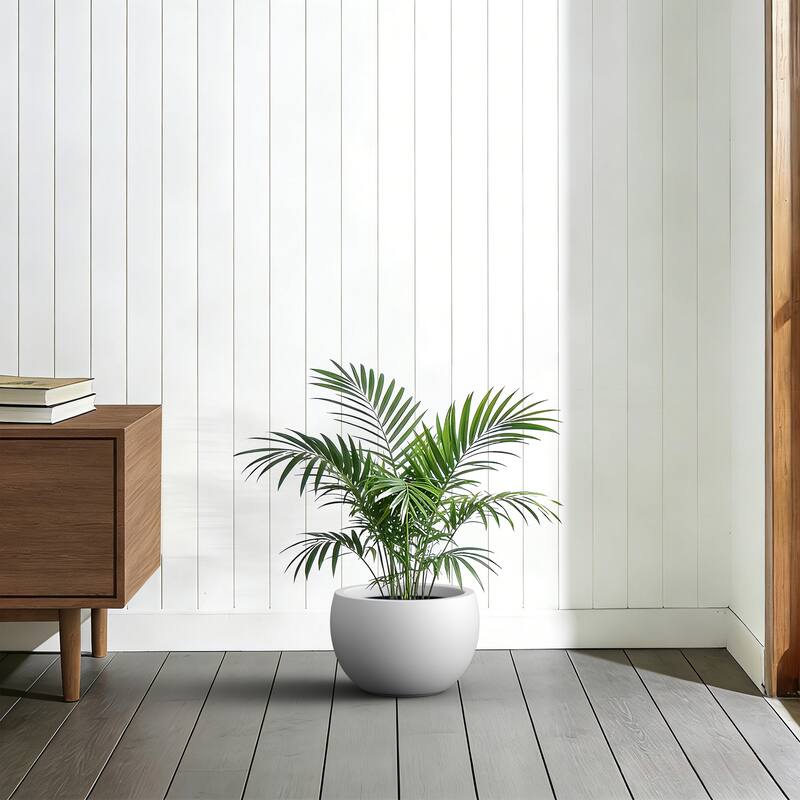 Concrete Round Bowl Planter with Drainage Hole(Upgraded Interior)