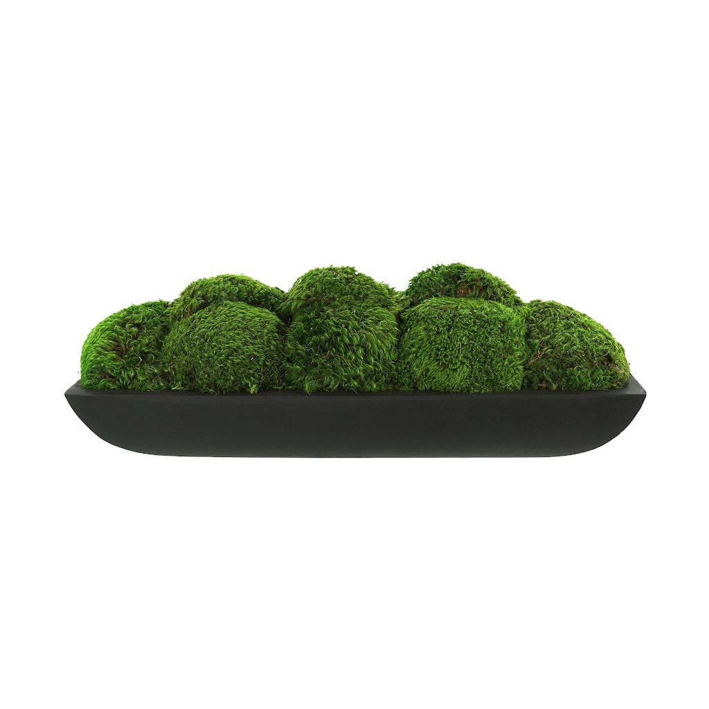 Moss Arrangement in Oblong Fiberstone Planter - Green