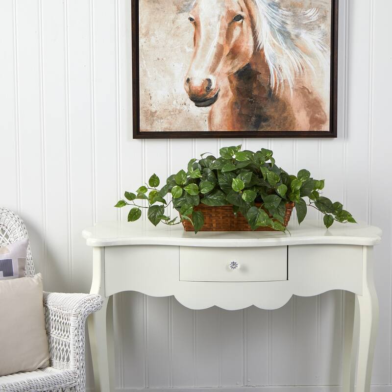 Pothos w/Ledge Basket - Green