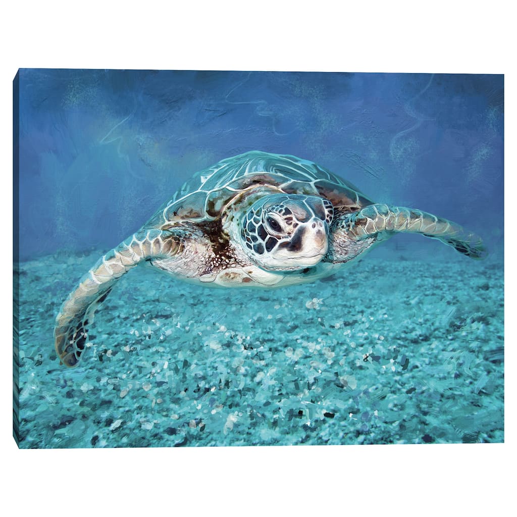 Sea Turtle by Studio Arts Canvas Art Print by Studio Arts Canvas Art Print