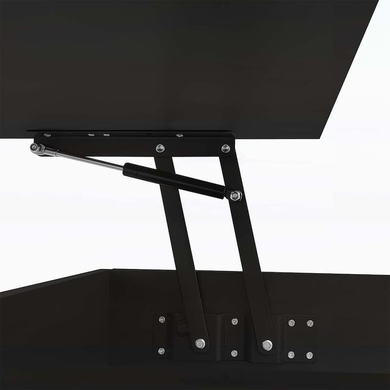 Modern Lift-Top Coffee Table with 2 Drawers