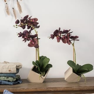 RusticReach Potted Orchid Arrangement Purple Orchid