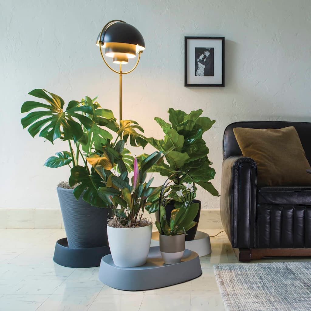 Pebble Modern Plant Caddy with Hidden Wheels