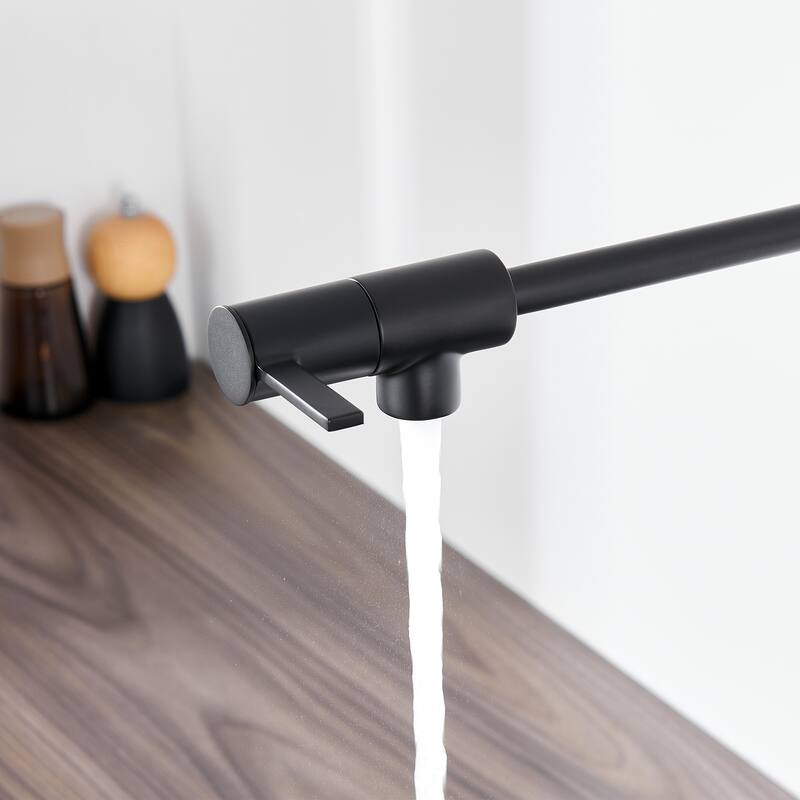 Luxier KTS27 Contemporary Wall-Mounted Pot Filler with 2 Handles