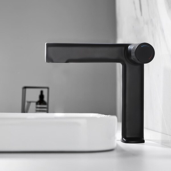 Riho　0107 ♡ Rbrohant Single Hole Faucet Single-handle Bathroom Faucet