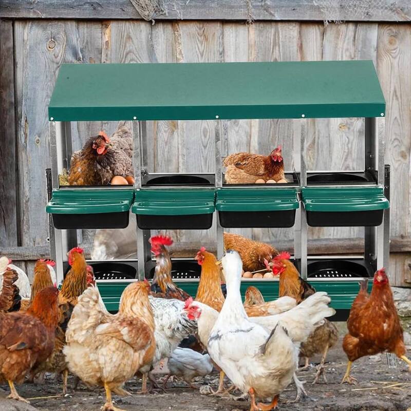 Nesting Boxes for Chickens with Lid Cover