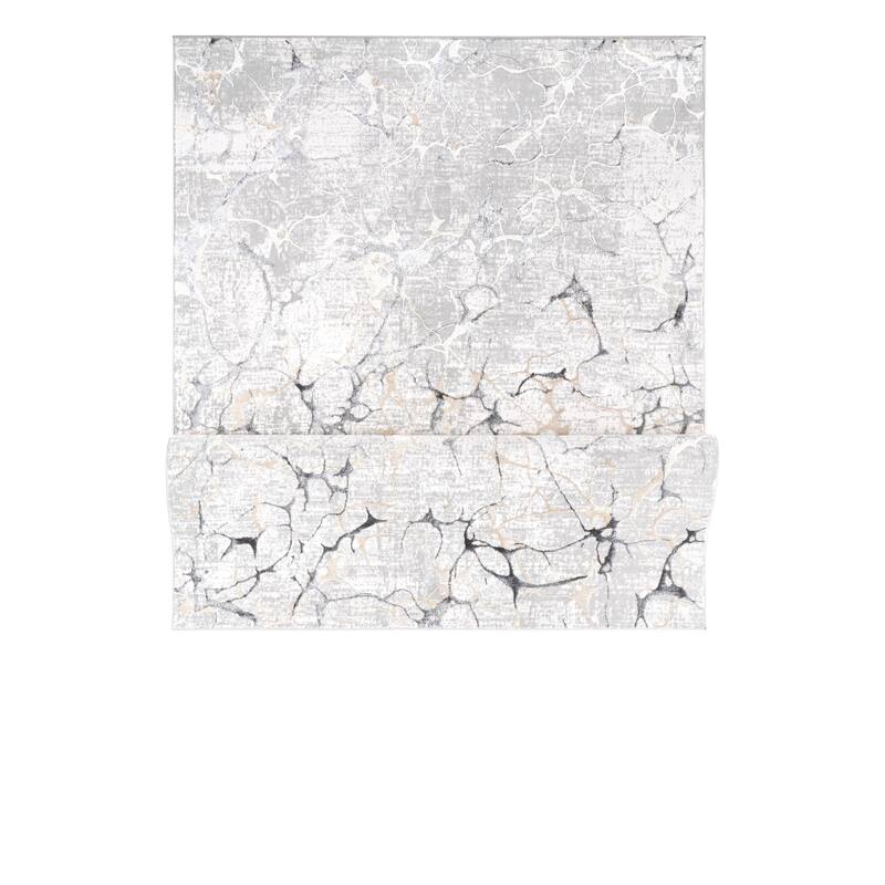 Liam Transitional Gray and Anthracite Abstract Rug