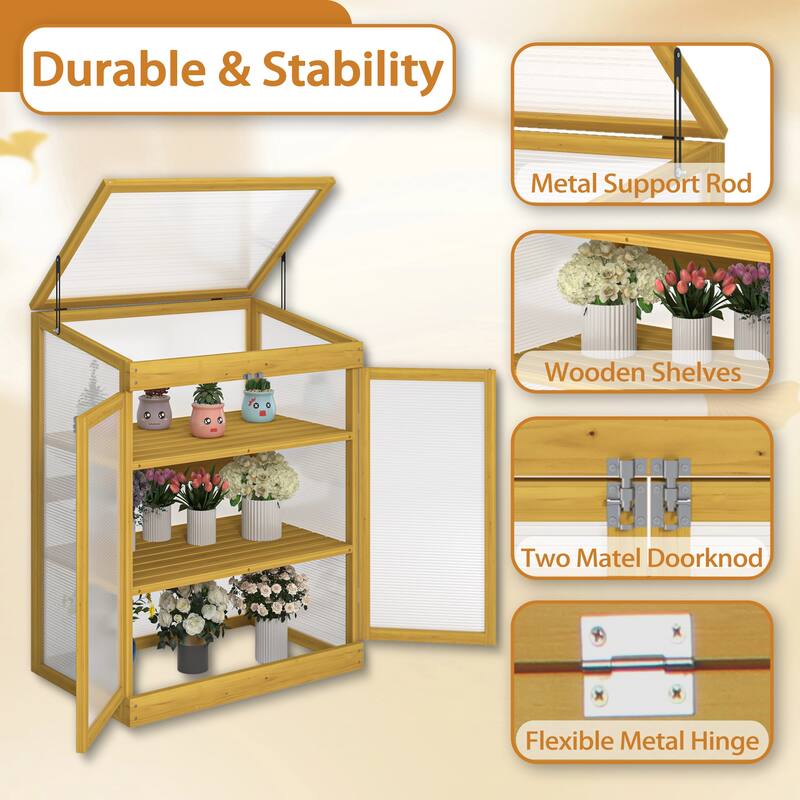 Wooden Cold Frame Mini Greenhouse for Outdoor Garden, 2-Tier Cabinet - wood - Mini Greenhouse