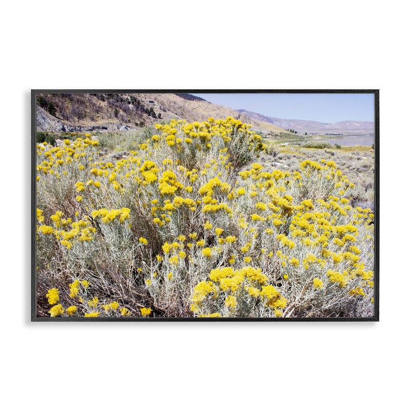 Stupell Yellow Flowers in Arid Meadow Framed Giclee Art Design By Gemma Bardot - 30 x 20 - Black