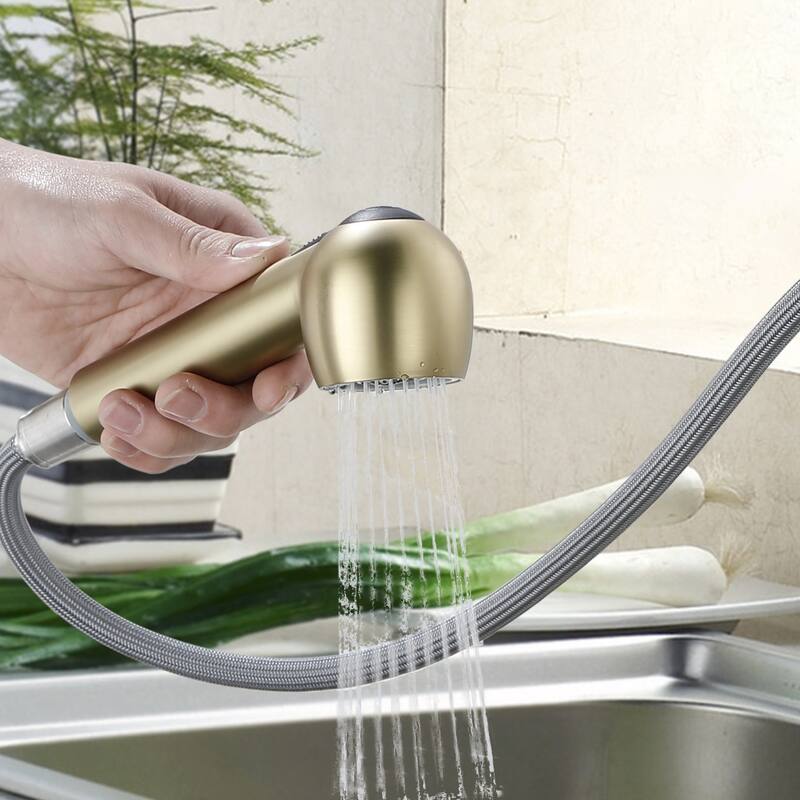 Topcraft Kitchen Faucets with Pull Down & Pull Out Sprayer