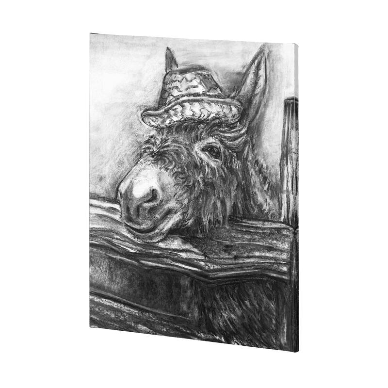 Donkey I (30 x 40) Canvas Art Print - Large