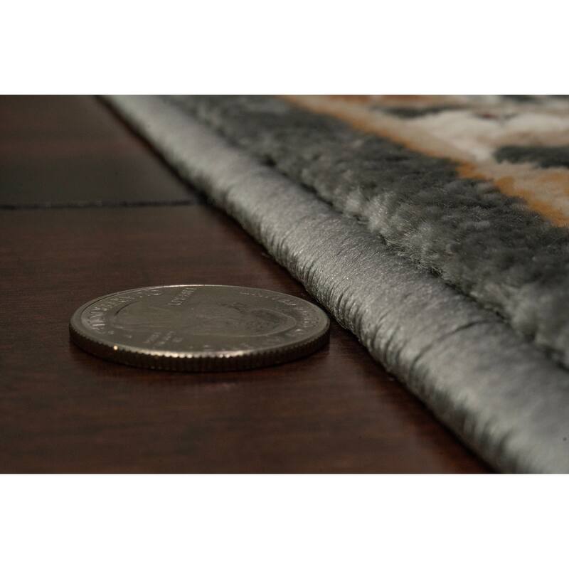 Dynamic Rugs Charlotte Traditional Area Rug