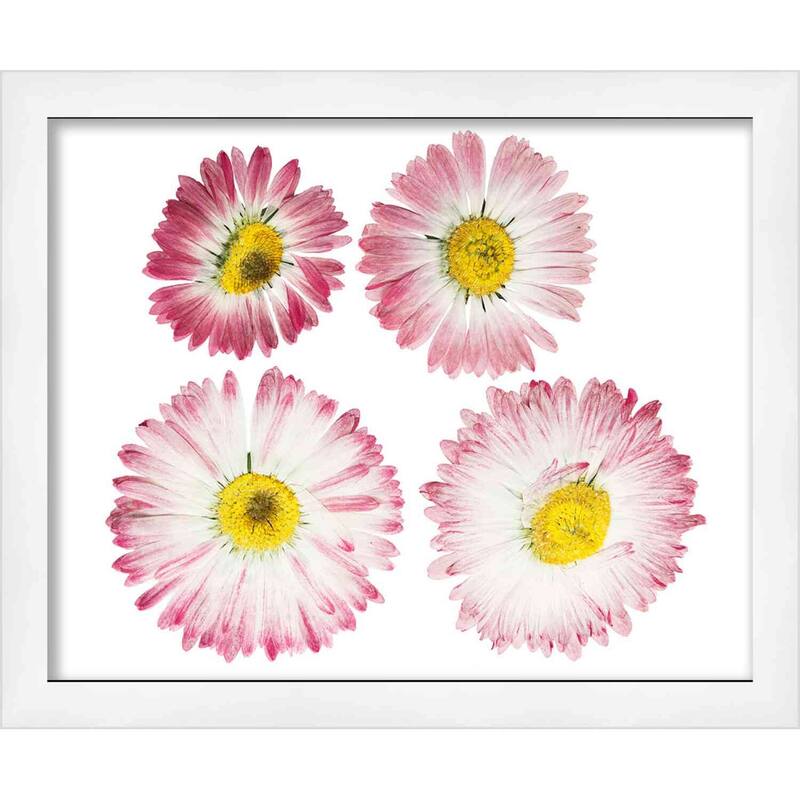 30x24 White Shadowbox Frame - Interior Size 30x24 by 1 Inch Deep - This White Frame Is Made to Display Items Up To 1 Inch Deep