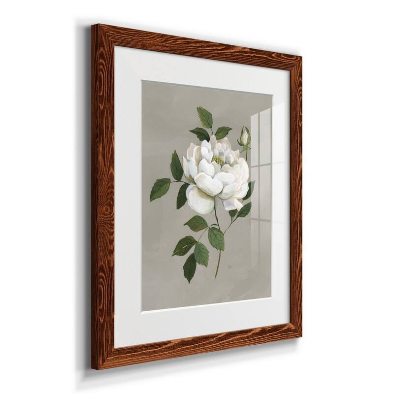 Botanical Rose-Premium Framed Print - Ready to Hang