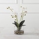 preview thumbnail 3 of 2, Uttermost Glory Orchid - 12 W x 15.75 H x 12 D (inches)
