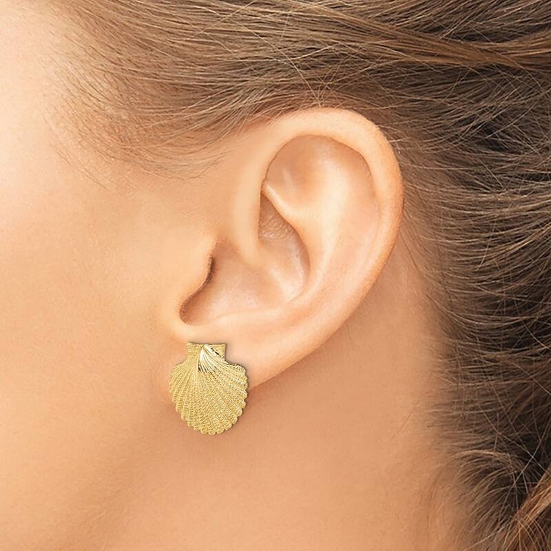 Curata 14k Yellow Gold Scallop Shell Post Earrings 2 d 16.4x16.6mm