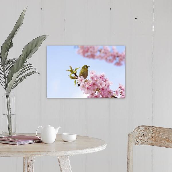 Shop Japanese White Eye Bird On Cherry Blossom With Blue Sky
