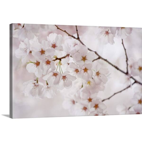 Shop Japanese Cherry Blossom Canvas Wall Art Overstock 16490491