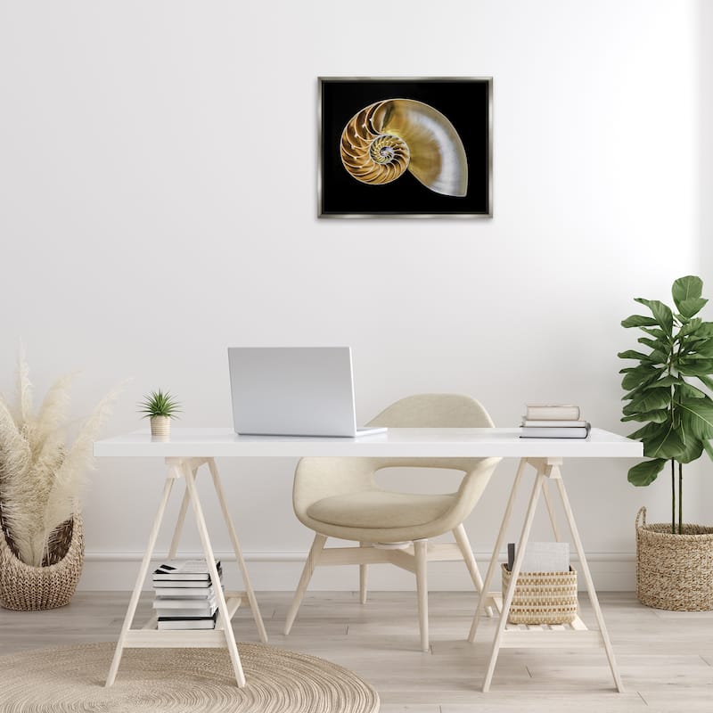 Stupell Tan Nautilus Shell on Black Framed Floater Canvas Wall Art Design By Mary Lou Johnson