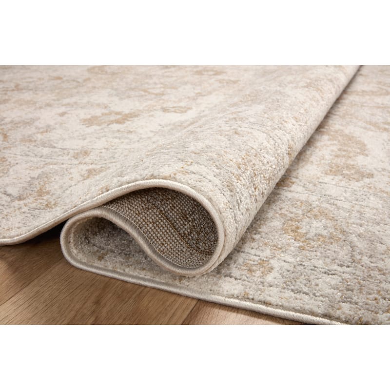 Alexander Home Colette Vintage Whimsical Area Rug