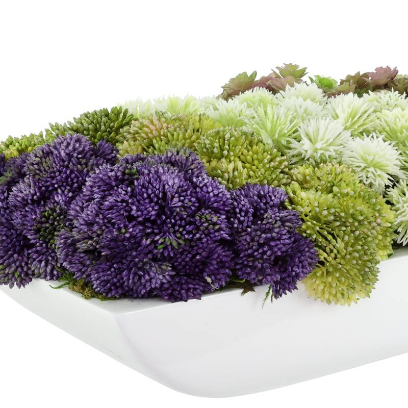 Modern Arrangement with Sedum, Thistle and Succulents