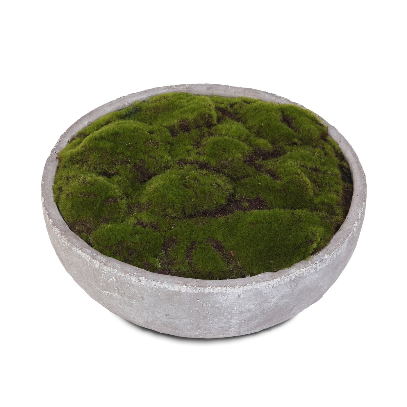 Artificial Fake Moss Arrangement in Round Stone Wash Cement Bowl - 14.5W x  14.5D x 2H - On Sale - Bed Bath & Beyond - 33334720