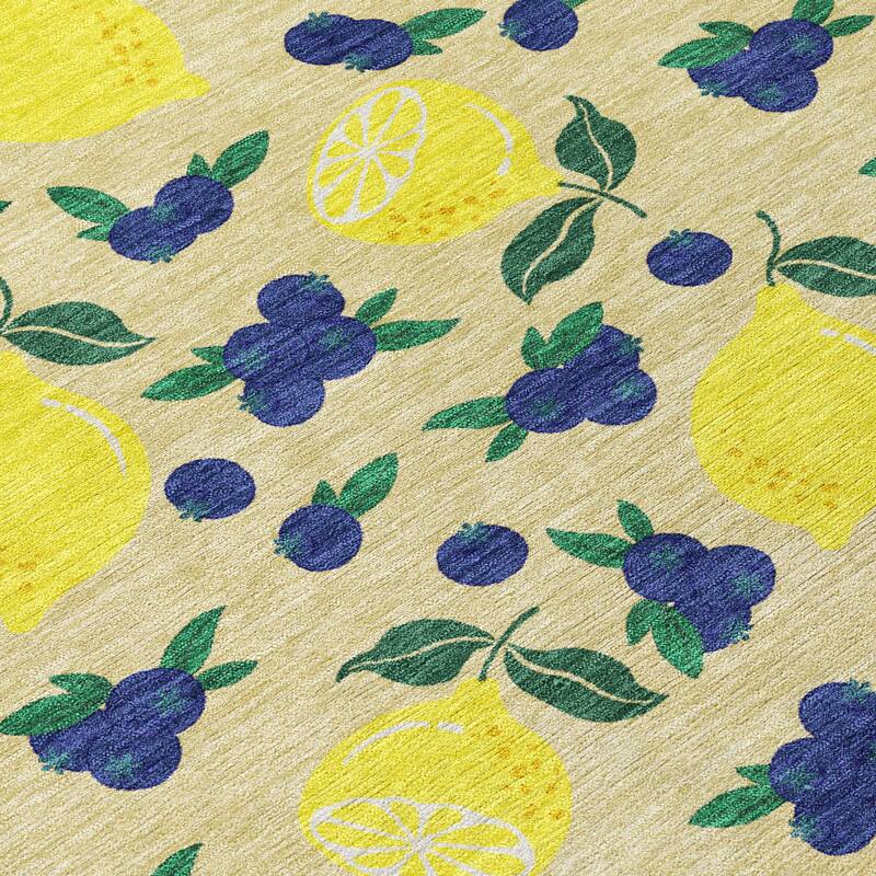 Machine Washable Indoor/ Outdoor Citrus Berry Chantille Rug